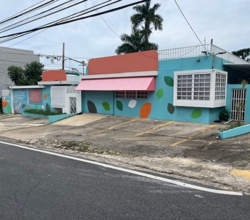 Sector El 5, Ave. Ponce de León- ¡Oportunidad! (Venta)