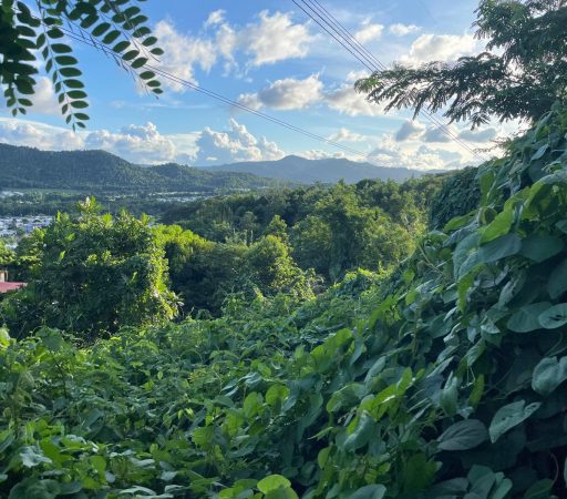 Terreno en Estancias de Bairoa- Caguas (Venta)