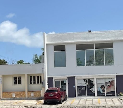 Edificio en Ave. Piñero- San Juan (Venta)