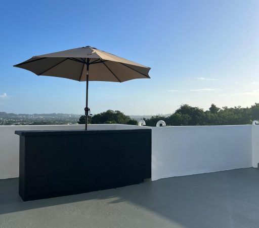 Vistas de Panorama en Bayamón- PH con terraza y vista espectacular (Alquiler)