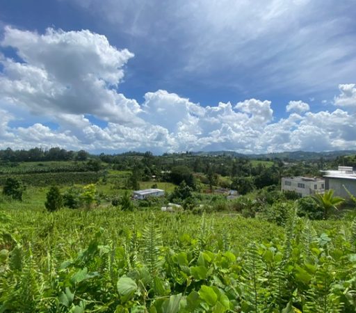 Terreno Barrio Quebradillas- Barranquitas (Venta)