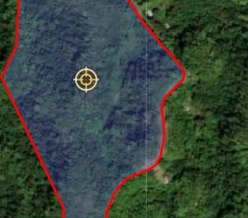 Finca Barrio Arrozal y Miraflores- Arecibo (Venta)